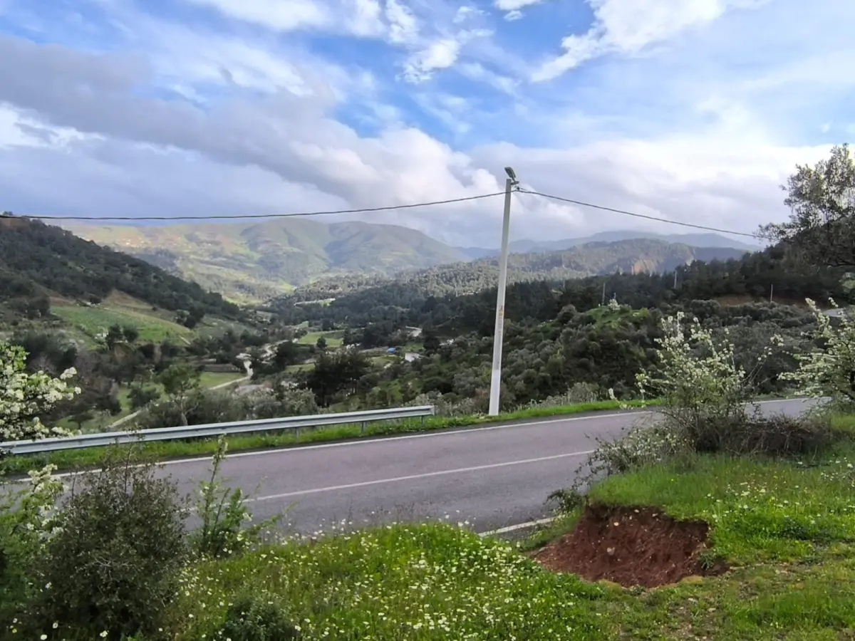 ACİL SATILIK FIRSAT ARAZİ   İZMİR KEMALPAŞA SARIÇALI - Fotoğraf 13