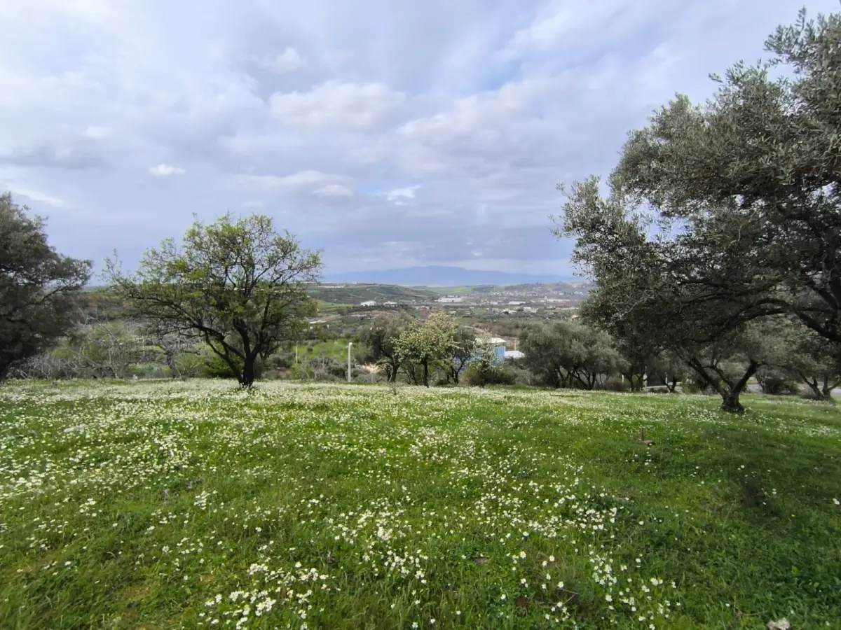 ACİL SATILIK FIRSAT ARAZİ   İZMİR KEMALPAŞA SARIÇALI - Fotoğraf 17