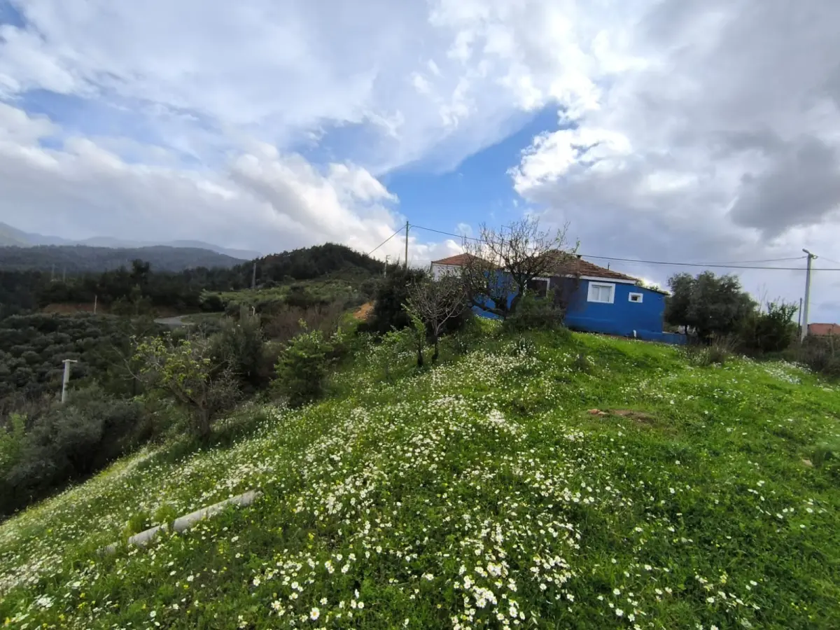 ACİL SATILIK FIRSAT ARAZİ   İZMİR KEMALPAŞA SARIÇALI - Fotoğraf 20