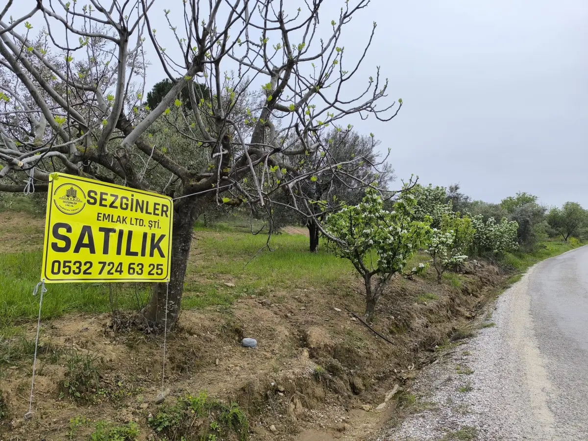 ACİL SATILIK MANZARALI ZEYTİNLİK   1.100 M²  1.750.BİN TL - Fotoğraf 9