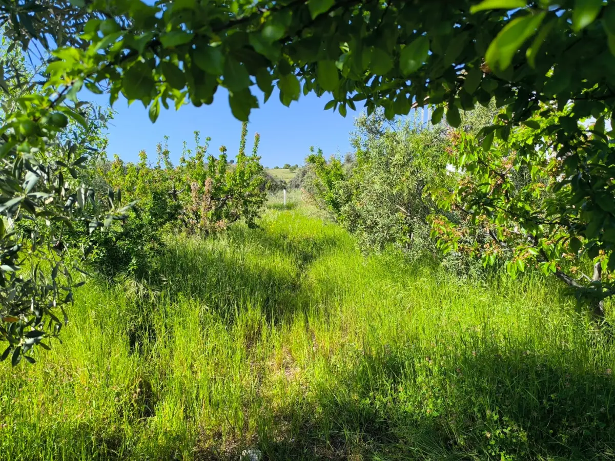 SÜPER MANZARALI 2 KATLI YAZLIK - Fotoğraf 16