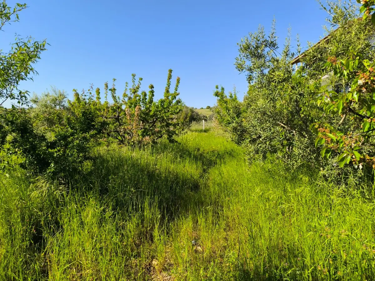 SÜPER MANZARALI 2 KATLI YAZLIK - Fotoğraf 18