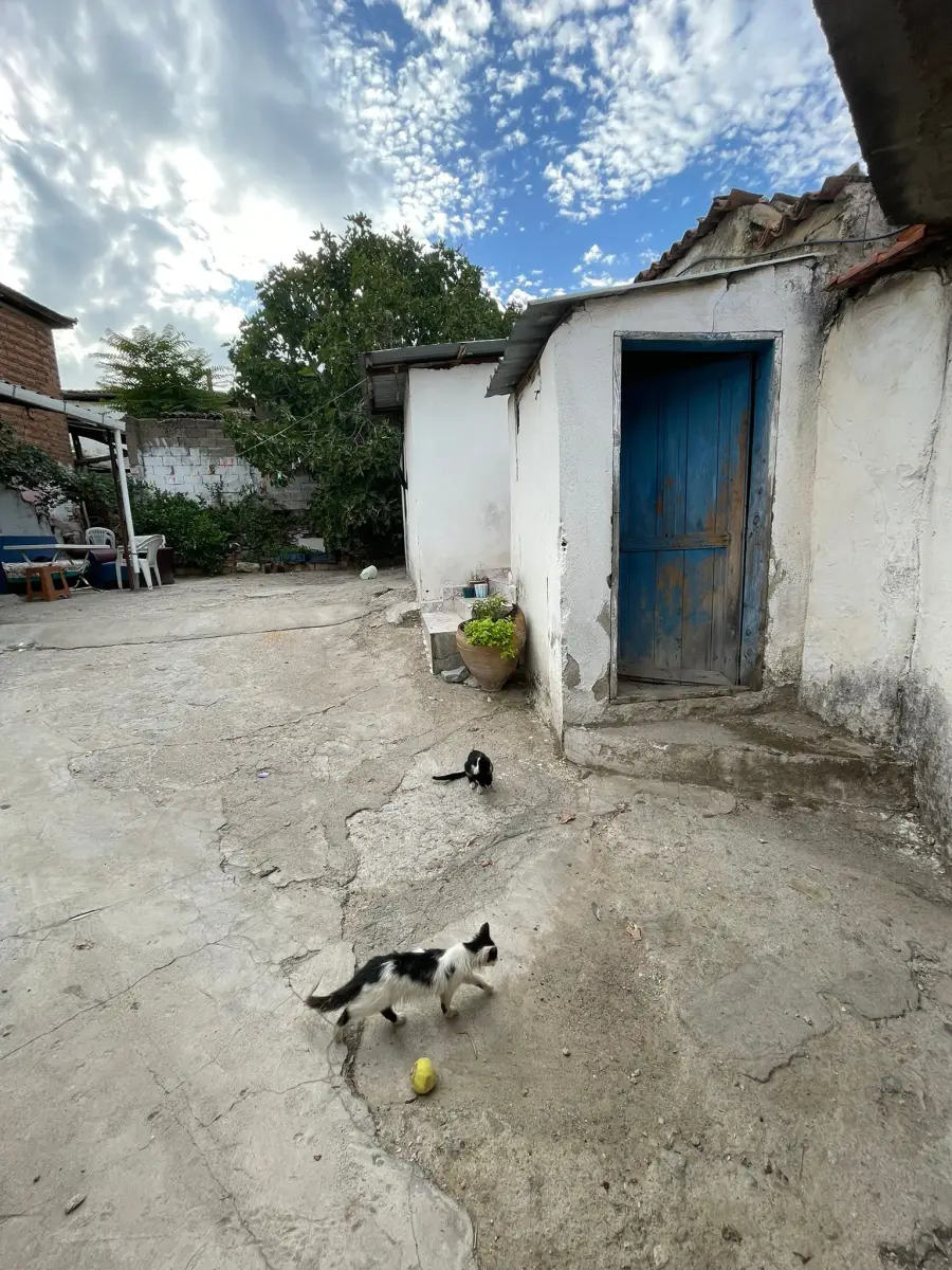ACİL SATILIK KÖY EVİ  300 M² – İMARLI ARSA İÇİNDE - Fotoğraf 19